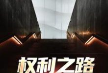 权利之路:我到底是谁小说最新章节在哪里可以免费看-神奇文学