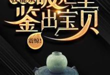 震惊!我能从破烂里鉴出宝贝!热门小说(陆飞)在线阅读无弹窗-神奇文学