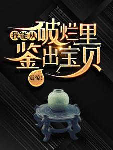 震惊！我能从破烂里鉴出宝贝！热门小说(陆飞)在线阅读无弹窗