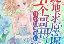小说叶小姐独美后,五个哥哥跪地求原谅主角叶簌簌免费阅读-神奇文学