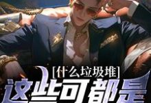 主人公是程乞的小说什么垃圾堆?这些可都是科技神器!免费阅读-神奇文学