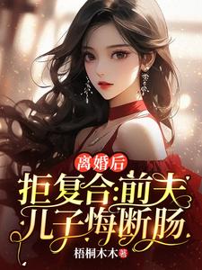 离婚后拒复合：前夫儿子悔断肠热门小说(沈寒星)在线阅读无弹窗