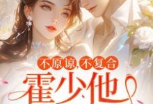 不原谅，不复合，霍少他觊觎我小说最新章节在哪里可以免费看-神奇文学