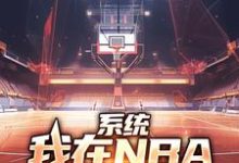 系统:我在NBA把把都超神小说最新章节在哪里可以免费看-神奇文学