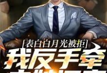 表白白月光被拒,我反手牵走她闺蜜(周恒尹梦冉)最新章节在线阅读-神奇文学