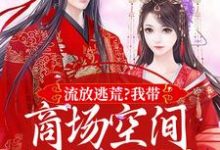 流放逃荒?我带商场空间活的舒服嘞无弹窗林书棠段砚洲最新章节列表-神奇文学