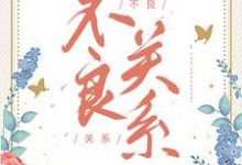完结版不良关系在哪免费看,桑胤衡南枫小说在线阅读-神奇文学
