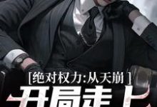 绝对权力：从天崩开局走上官途巅峰大结局，徐子杰宁傲雪小说无广告阅读-神奇文学