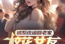 萧川小说的结局在哪可以看,被系统逼回老家,校花女友追来了免费阅读完结版-神奇文学