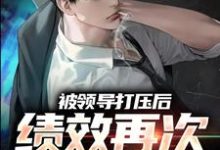 求助这本被领导打压后,绩效再次被清零!小说在哪里可以看完结版-神奇文学