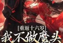 求助这本重返十六岁,我不做魔头改修仙了小说在哪里可以看完结版-神奇文学