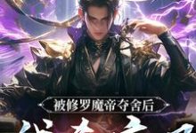 被修罗魔帝夺舍后,我杀疯了完结版宋萧然免费阅读大结局-神奇文学