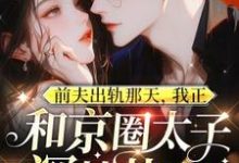 前夫出轨那天，我正和京圈太子深情热吻小说最新章节在哪里可以免费看-神奇文学