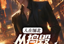 主人公是韩潇的小说人在缅北,从捣毁科技园开始免费阅读-神奇文学