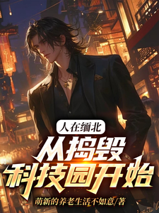 主人公是韩潇的小说人在缅北，从捣毁科技园开始免费阅读