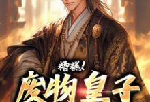 小说糟糕!废物皇子他觉醒了主角徐元南宫璃免费阅读-神奇文学