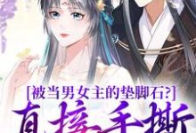 云子娆墨苍澜在线阅读,被当男女主的垫脚石?直接手撕剧本小说完结版章节-神奇文学