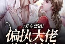 爱在禁锢：偏执大佬肆意掠抢免费阅读，傅镇龙何雪大结局无弹窗-神奇文学
