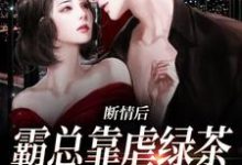 求助这本断情后,霸总靠虐绿茶博同情小说在哪里可以看完结版-神奇文学