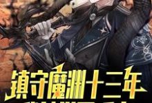 镇守魔渊十三年，我被举国唾弃完结版楚南免费阅读大结局-神奇文学