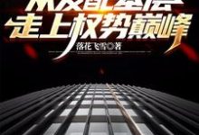 官梯:从发配基层走上权势巅峰小说资源求分享,官梯:从发配基层走上权势巅峰杨飞方婷在线阅读-神奇文学