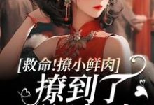 救命!撩小鲜肉撩到了顶级权贵!在线看,李善小说大结局在哪免费看-神奇文学