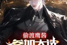 偷渡鹰酱，参加大选不过分吧？无弹窗赵峰最新章节列表-神奇文学