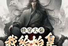 求助这本快穿大秦：我给始皇当左相小说在哪里可以看完结版-神奇文学