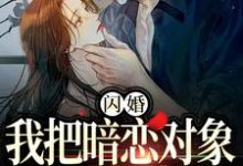 闪婚,我把暗恋对象抱回了家精彩章节在线免费阅读(阮鸢裴池)-神奇文学