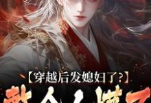 小说穿越后发媳妇了？整个人懵了（萧辰）最新章节在哪看-神奇文学