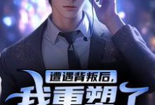 陈哲小说的结局在哪可以看,遭遇背叛后,我重塑了人身免费阅读完结版-神奇文学