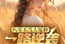 小说八零不当大冤种,一路逆袭你急啥主角许白免费阅读-神奇文学
