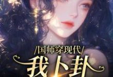 国师穿现代,我卜卦算命爆红完结版沈确沈禾免费阅读大结局-神奇文学
