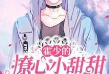 霍少的撩心小甜甜又暴富了完结版慕岑抬免费阅读大结局-神奇文学