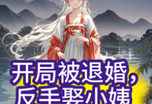 小说开局被退婚,反手娶小姨子?(陈初阳商红雪)最新章节在哪看-神奇文学