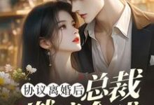 林深最新章节协议离婚后，总裁燃遍全球免费阅读-神奇文学