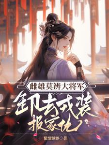 沈青鸾萧辞泽小说免费阅读最新章节列表，雌雄莫辨大将军，缷去戎装报家仇小说在线看