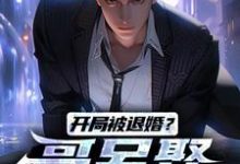 开局被退婚?哥另娶白富美热门小说(楚风甄姬)在线阅读无弹窗-神奇文学