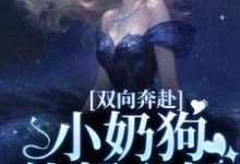 双向奔赴,小奶狗他超心机大结局,姜以宁贺驰小说无广告阅读-神奇文学