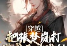 穿越:把张楚岚打造成无敌战神在线看,方云小说大结局在哪免费看-神奇文学