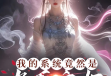 小说我的系统竟然是九天玄女主角叶沐枫免费阅读-神奇文学