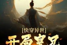 快穿异世,开局皇兄全战死精彩章节阅读(李辰穆英儿)免费阅读大结局-神奇文学