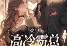 完结版豪门:高冷霸总别太宠在哪免费看,苏颜汐傅霖宸小说在线阅读-神奇文学