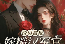 求助这本渣男被抢，嫁糙汉军官养崽躺赢小说在哪里可以看完结版-神奇文学
