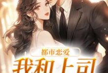 宋谨言苏念念在线阅读,都市恋爱:我和上司he了小说完结版章节-神奇文学