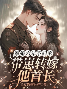 小说军婚六年不归家，带崽转嫁他首长（乔安周昀川）最新章节在哪看