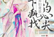 侯府弃妇竟是陛下疯找十年的心尖(洛知槿陆淮)最新章节在线阅读-神奇文学