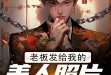 林江宇小说的结局在哪可以看，老板发给我的美人照片是老板娘免费阅读完结版-神奇文学