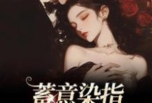 蓄意染指：大佬病态缠欢完结版沈行川桑妩免费阅读大结局-神奇文学
