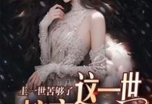 上一世苦够了,这一世嫁京圈大佬精彩章节阅读(安暖慕晟)免费阅读大结局-神奇文学
